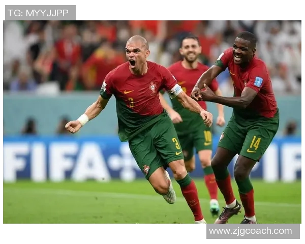 葡萄牙与智利比赛地点及相关信息详解