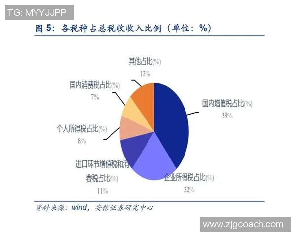 南京羽毛球队进攻策略分析与表现评估探讨 南京羽毛球队进攻策略分析与表现评估探讨