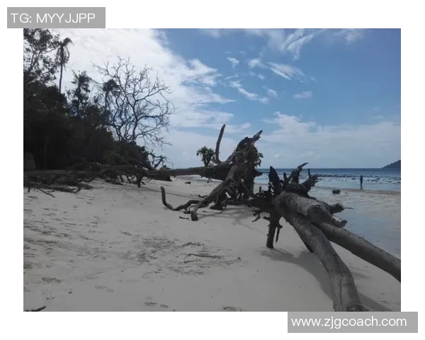 卡斯马与沙巴伯科威特激战正酣谁能在这场较量中笑到最后