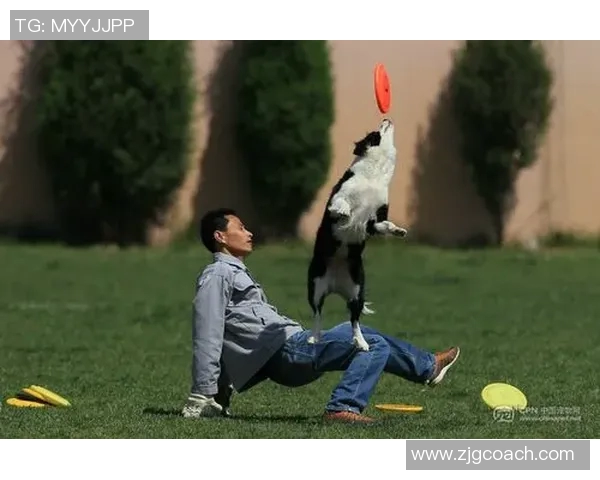 飞盘世界的追梦之旅：赵秀英的成长与坚持MBA