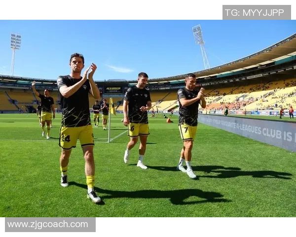 阿德莱德迎战惠灵顿期待精彩对决与精彩进球的足球盛宴