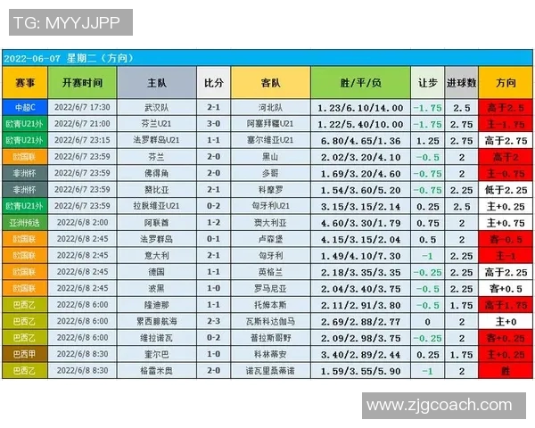 武汉足球队配合表现的数据分析与战术研究探讨